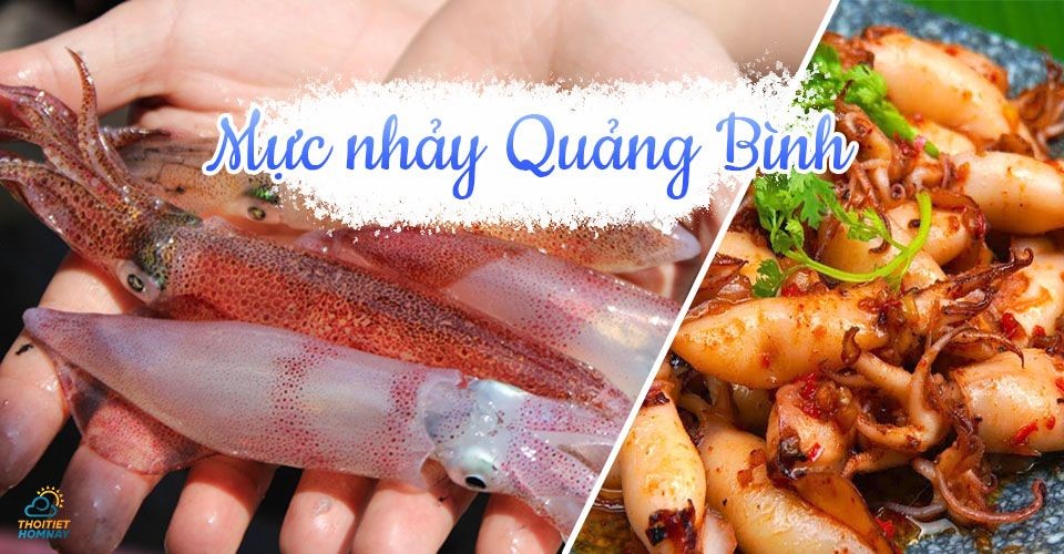 Mực nhảy Quảng Bình và những món ngon nhất định phải thử