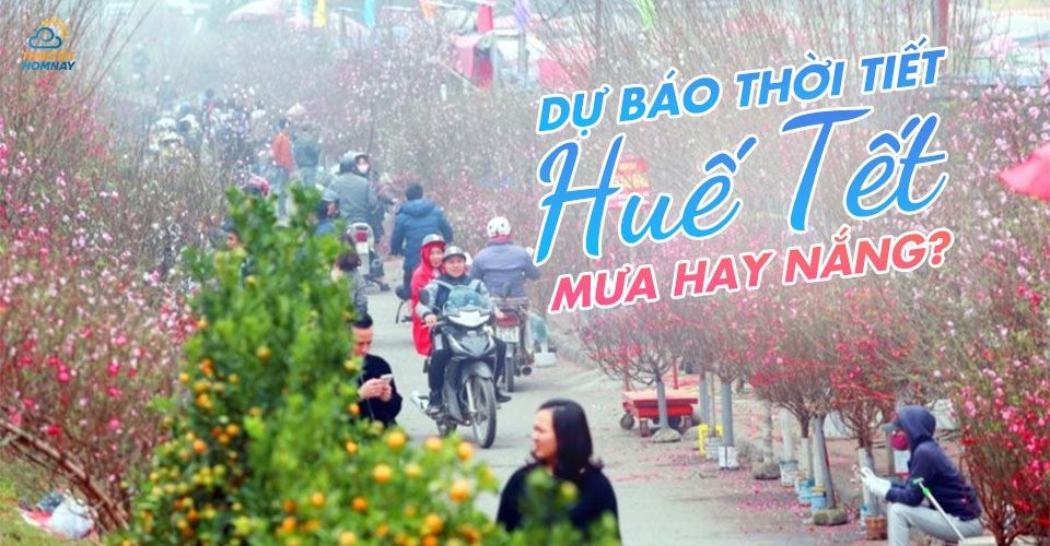 Đặc trưng thời tiết Huế tết nguyên đán như nào? Trọn bộ bí kíp du xuân Huế 