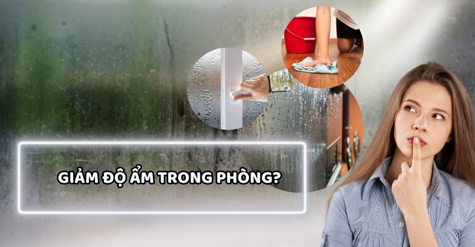 11+ cách giảm độ ẩm trong phòng hiệu quả, sạch không khí đơn giản