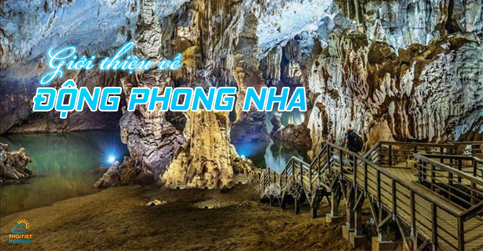 Giá vé động Phong Nha và các khu du lịch ở Quảng Bình